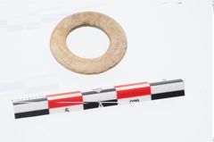 Foto von Steinringperle (NHMW-PRAE-026527)